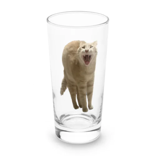 あくび猫のシロ Long Sized Water Glass