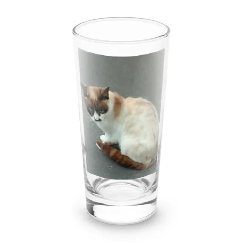 201408161744000　焦げ目の猫 Long Sized Water Glass