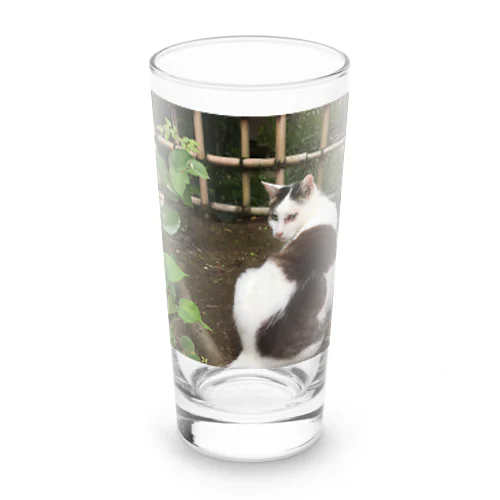 振り返り美猫図 Long Sized Water Glass