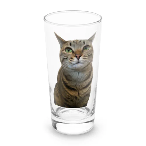 ふんばりにゃんこミミ Long Sized Water Glass