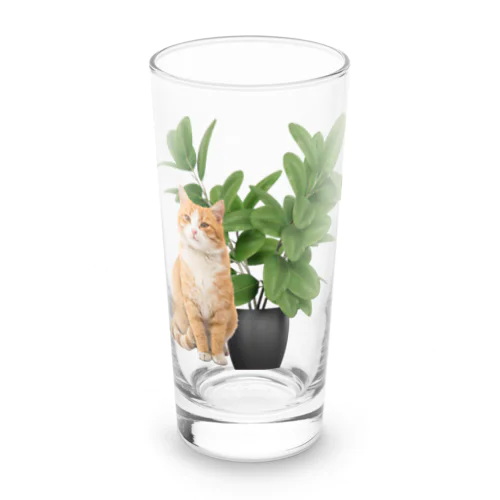 植物とねこ Long Sized Water Glass