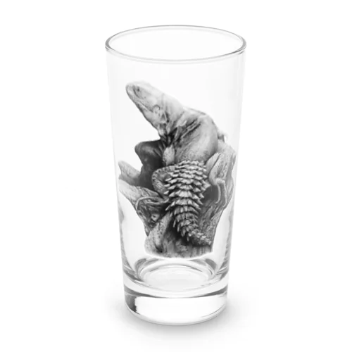 ユカタントゲオイグアナ | Ctenosaura defensor Long Sized Water Glass