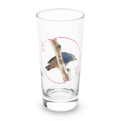 イソヒヨドリ♀さん Long Sized Water Glass