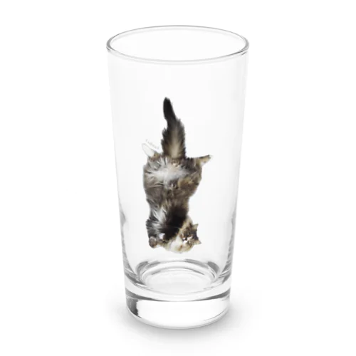 Gabriel Long Sized Water Glass