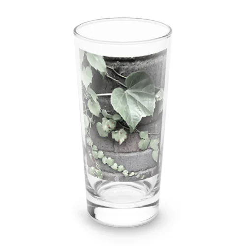 蔦 Long Sized Water Glass