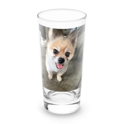 保護犬のふぅちゃん Long Sized Water Glass