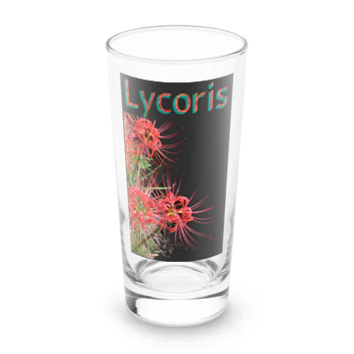 リコリス　彼岸花　LYCORIS ロンググラス