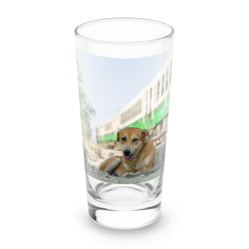東北色キハ40の側でノンビリするミャンマーの野良犬 Long Sized Water Glass