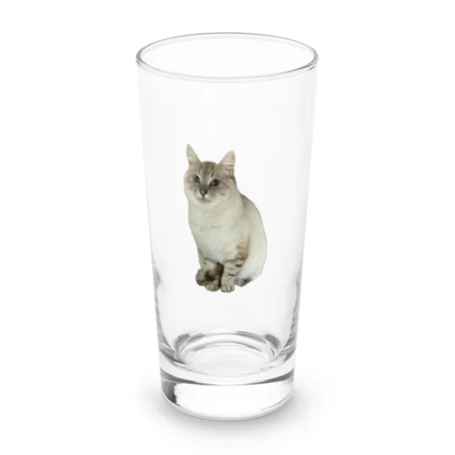 元野良猫しらたま Long Sized Water Glass