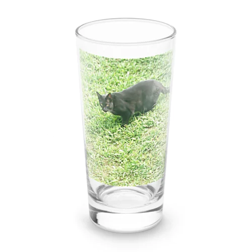 黒猫カカオの庭 Long Sized Water Glass