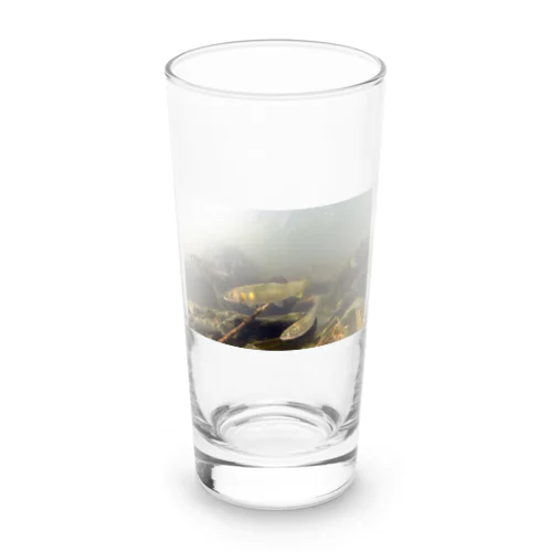 琵琶湖の魚~アユ Long Sized Water Glass