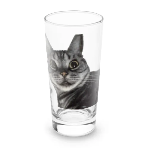 アメショーのひめちゃん⑤ Long Sized Water Glass