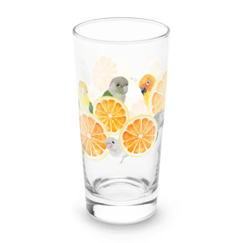 060 Citrus Hide and Seek Long Sized Water Glass