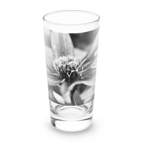 Qioc【27】 Long Sized Water Glass