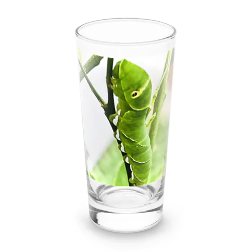 キラキラ青虫 Long Sized Water Glass