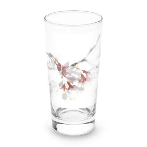 春の訪れを告げる美しい桜の花びら Long Sized Water Glass