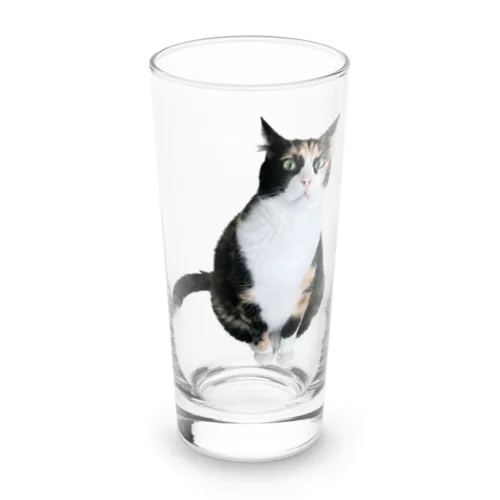 Chloe Long Sized Water Glass