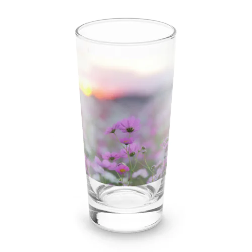 夕陽と秋桜 Long Sized Water Glass