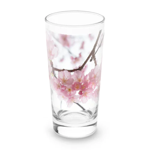 河津桜満開 Long Sized Water Glass