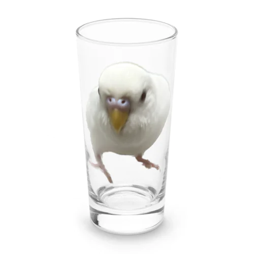 アルビノセキセイインコハクちゃん Long Sized Water Glass