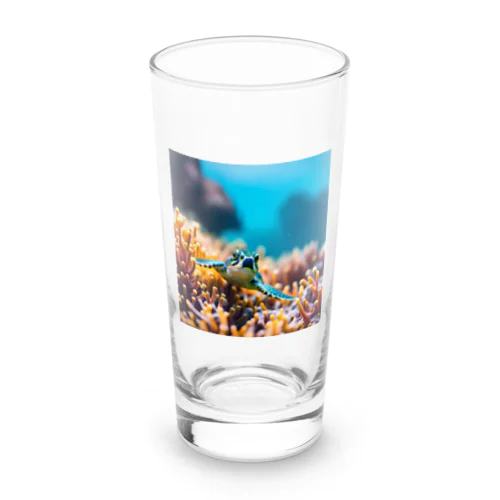 珊瑚と亀 ロンググラス