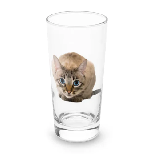 ねこちゃん Long Sized Water Glass
