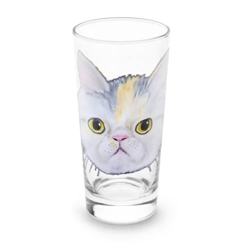 チョークアートのエキゾチックショートヘア😺 Long Sized Water Glass