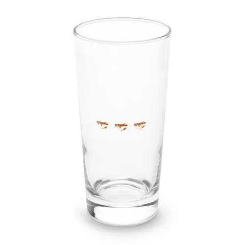 めだか屋あいなる　三色メダカ(３連) Long Sized Water Glass