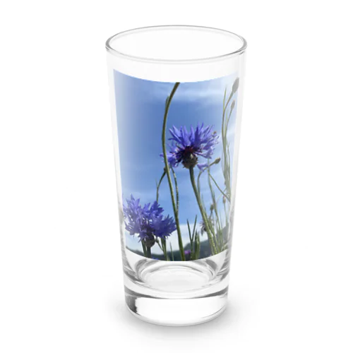 矢車草　青紫 Long Sized Water Glass