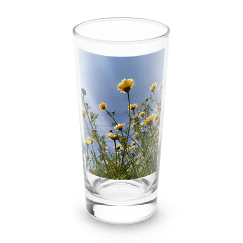 黄色い春菊の花 Long Sized Water Glass