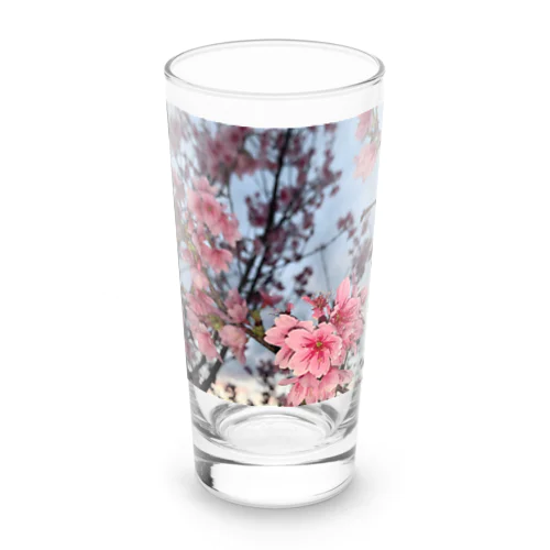 桜 Long Sized Water Glass