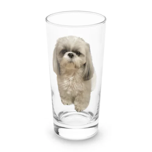 シーズー犬マリア きょとん Long Sized Water Glass