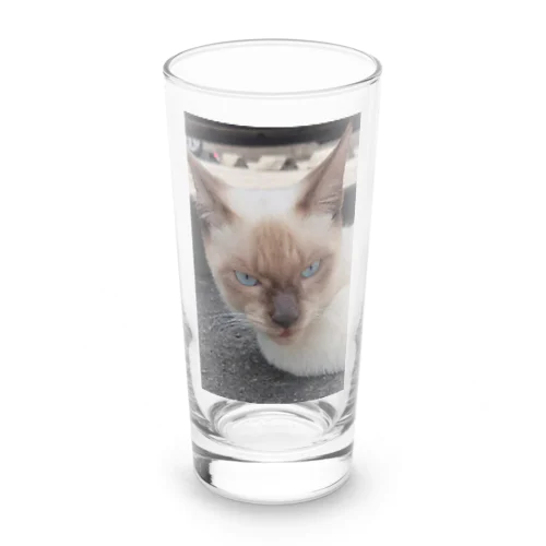 悪そうなのにカワイイ猫ちゃん Long Sized Water Glass