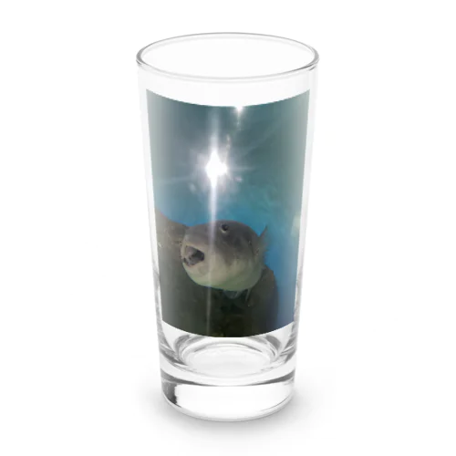 でっかいフグ Long Sized Water Glass