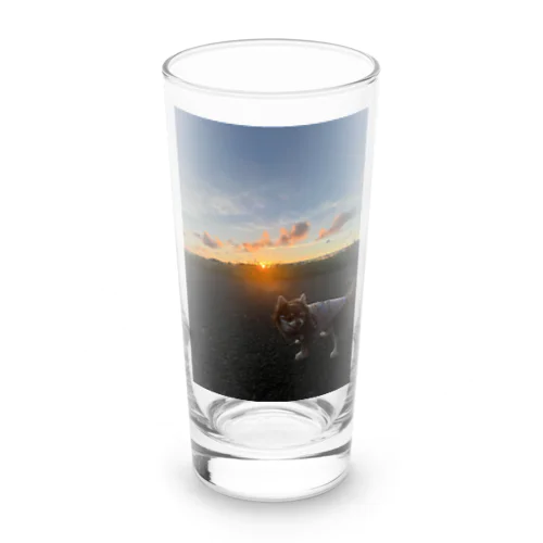 保護犬ミミ　インスタ使用画像 Long Sized Water Glass