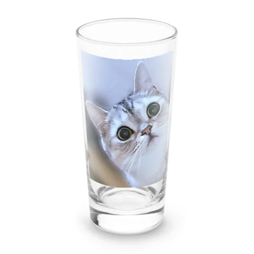 猫の名前はレオ Long Sized Water Glass