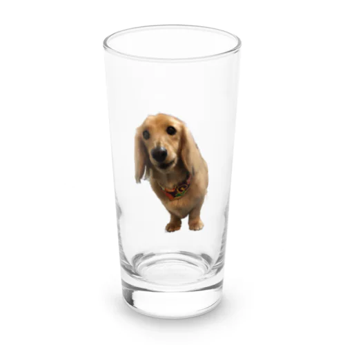 カニンヘンダックスのそる君 Long Sized Water Glass