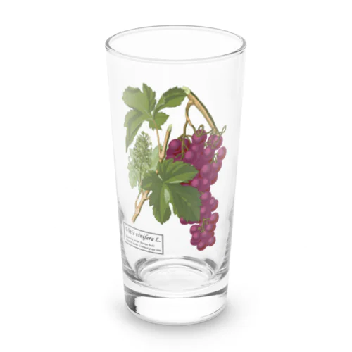 ヨーロッパブドウ（Vitis vinifera） Long Sized Water Glass