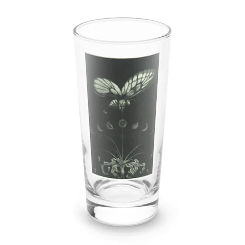 曼珠沙華 Long Sized Water Glass