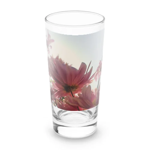 やさしい色の花 Long Sized Water Glass