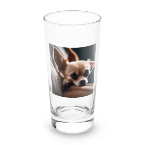 飼い主の足元にくっついているチワワ Long Sized Water Glass