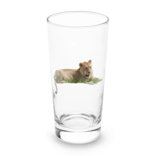 若いオスライオン Long Sized Water Glass