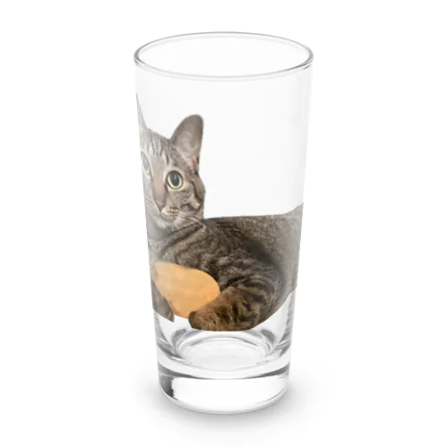 『猫に小判』オレはニャン蔵 Long Sized Water Glass