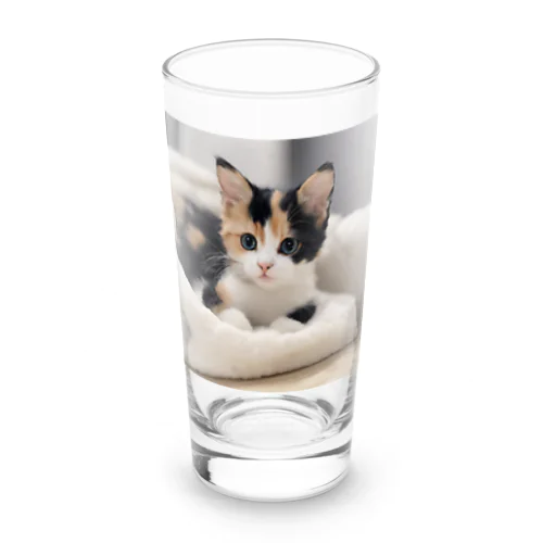 愛らしい子猫ちゃん Long Sized Water Glass