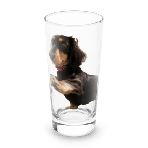 おすましダックスさつきさん Long Sized Water Glass