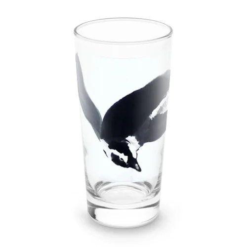 涼やかに空を泳ぐペンギン Long Sized Water Glass