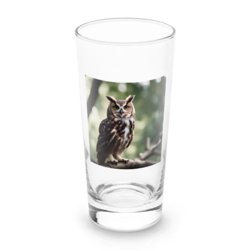 森の番人　フクロウ Long Sized Water Glass