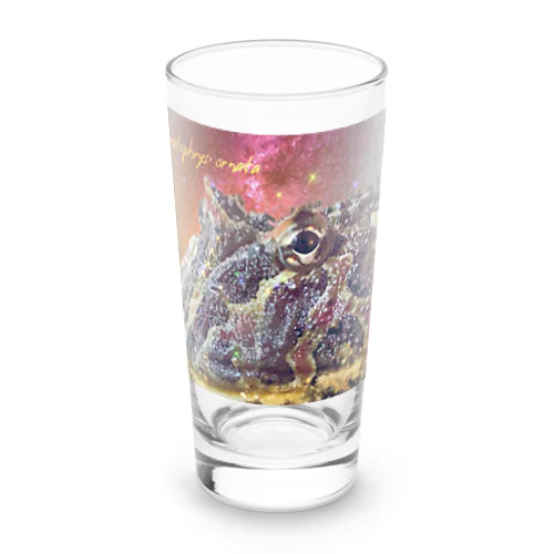 Ceratophrys ornata  ベルツノガエル Long Sized Water Glass