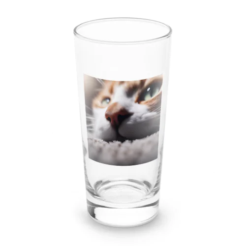 カーペットでごろんとする猫 Long Sized Water Glass