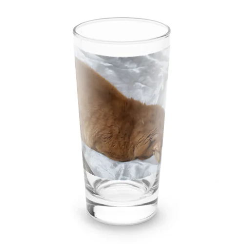 茶々のごめん寝中の姿です✨ Long Sized Water Glass